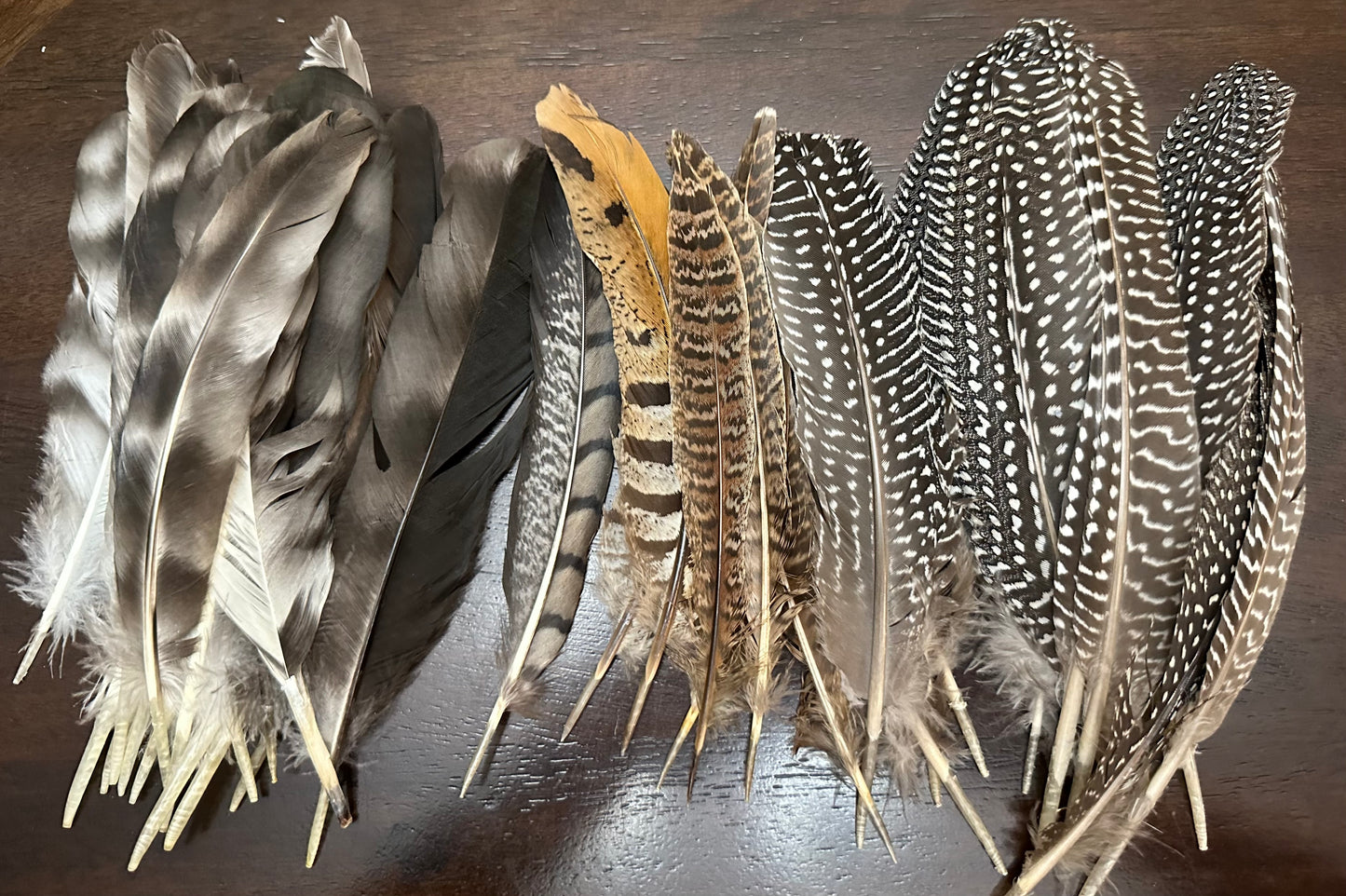 Feathers 7 - 8"
