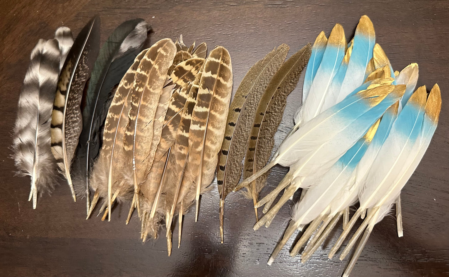 Feathers 4 - 6"
