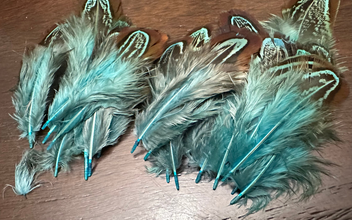 Feathers 2"