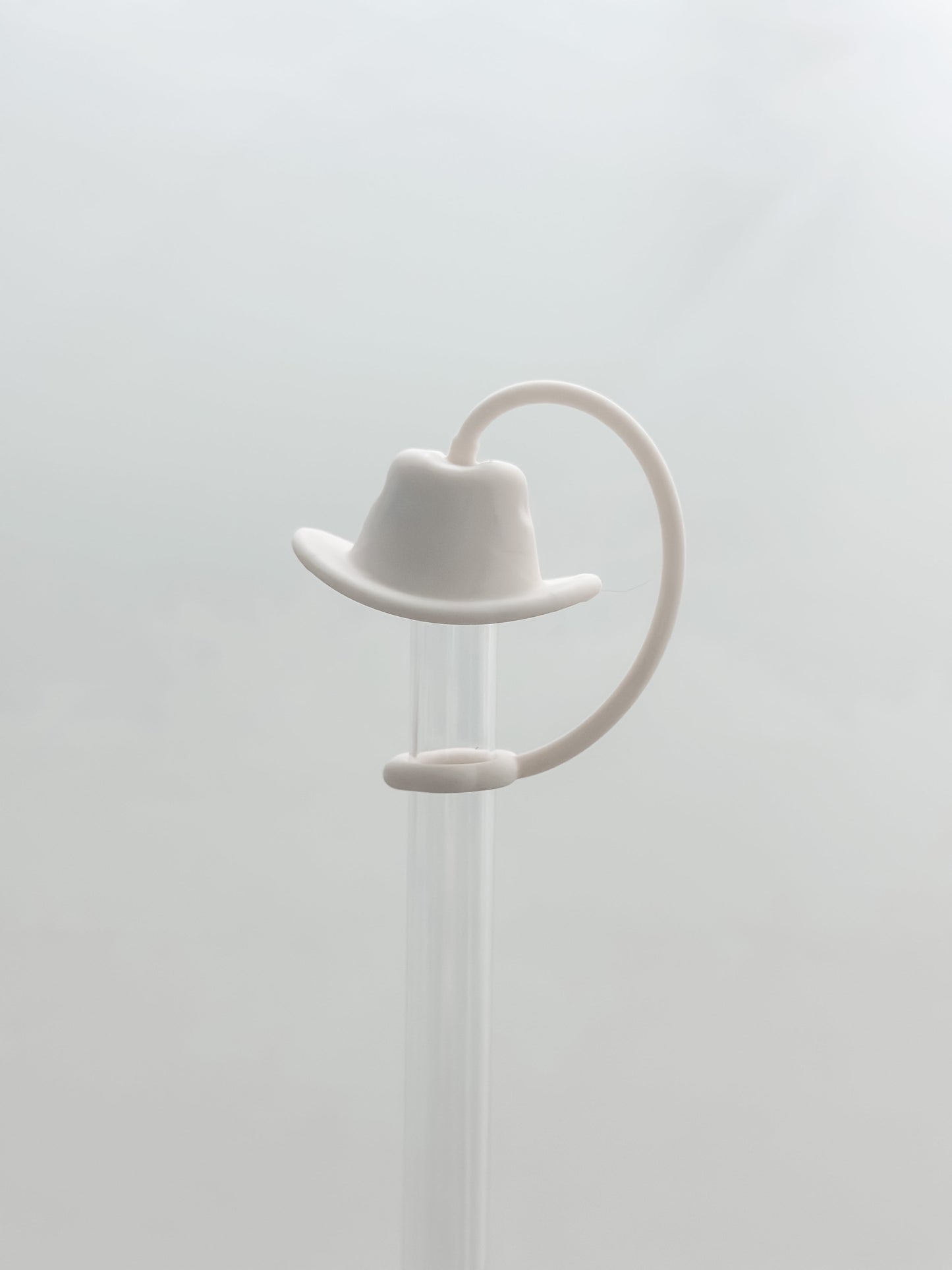 Cowboy Hat Straw Cover