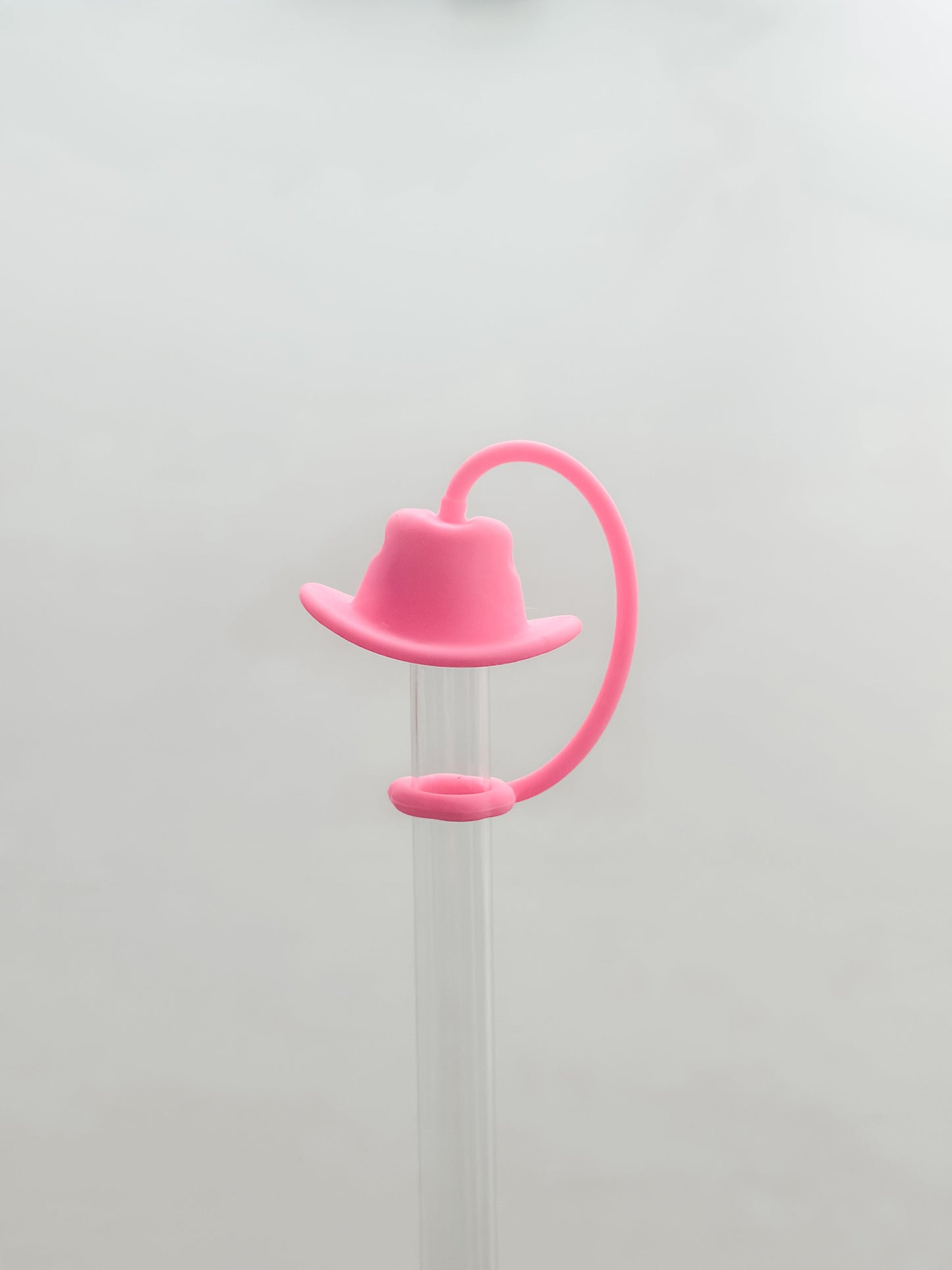 Cowboy Hat Straw Cover