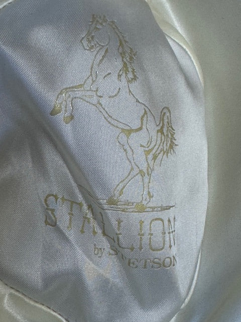 Avery Navy Stallion by Stetson