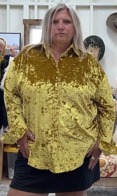 Velvet Classic Button Blouse