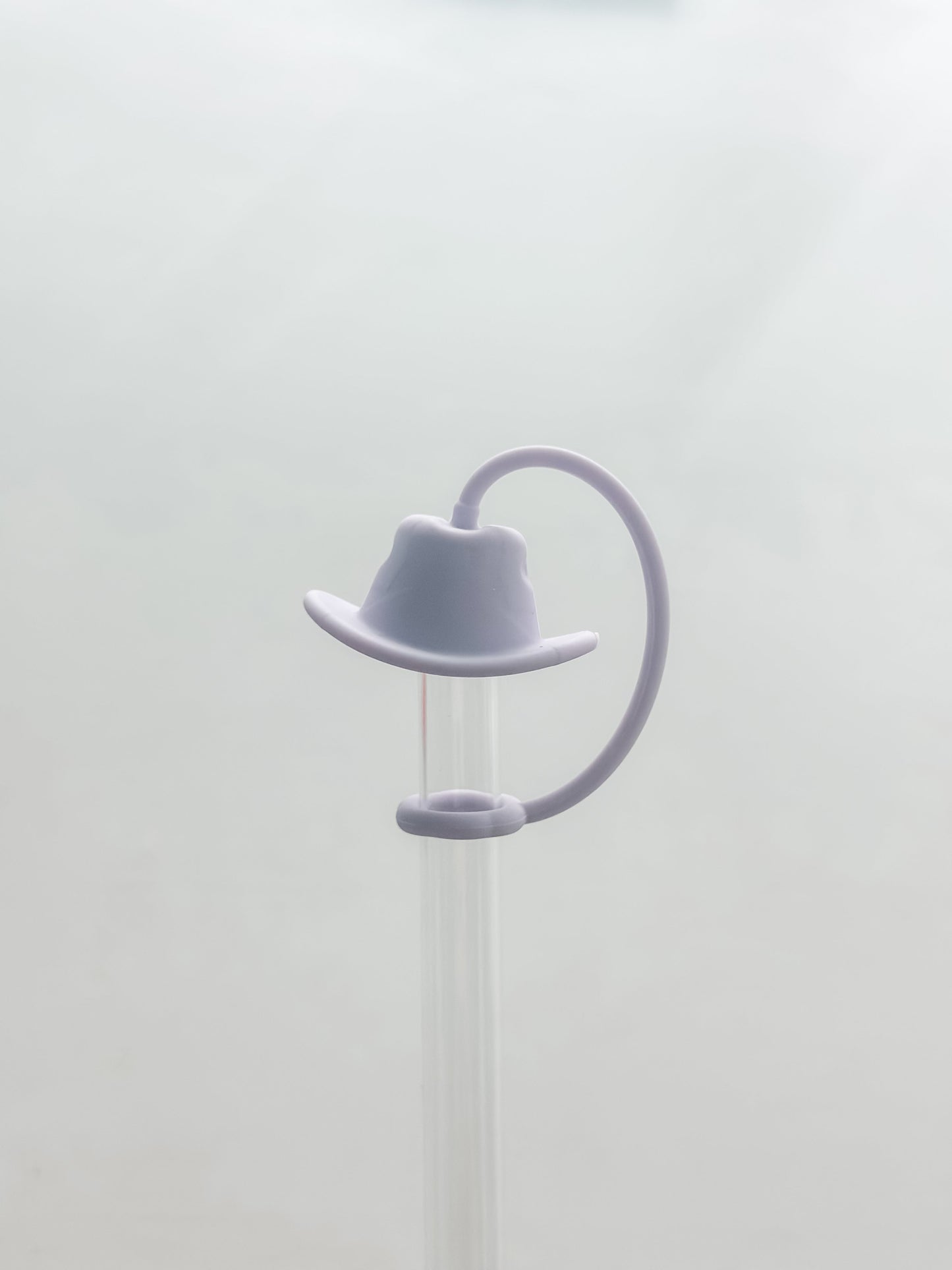 Cowboy Hat Straw Cover