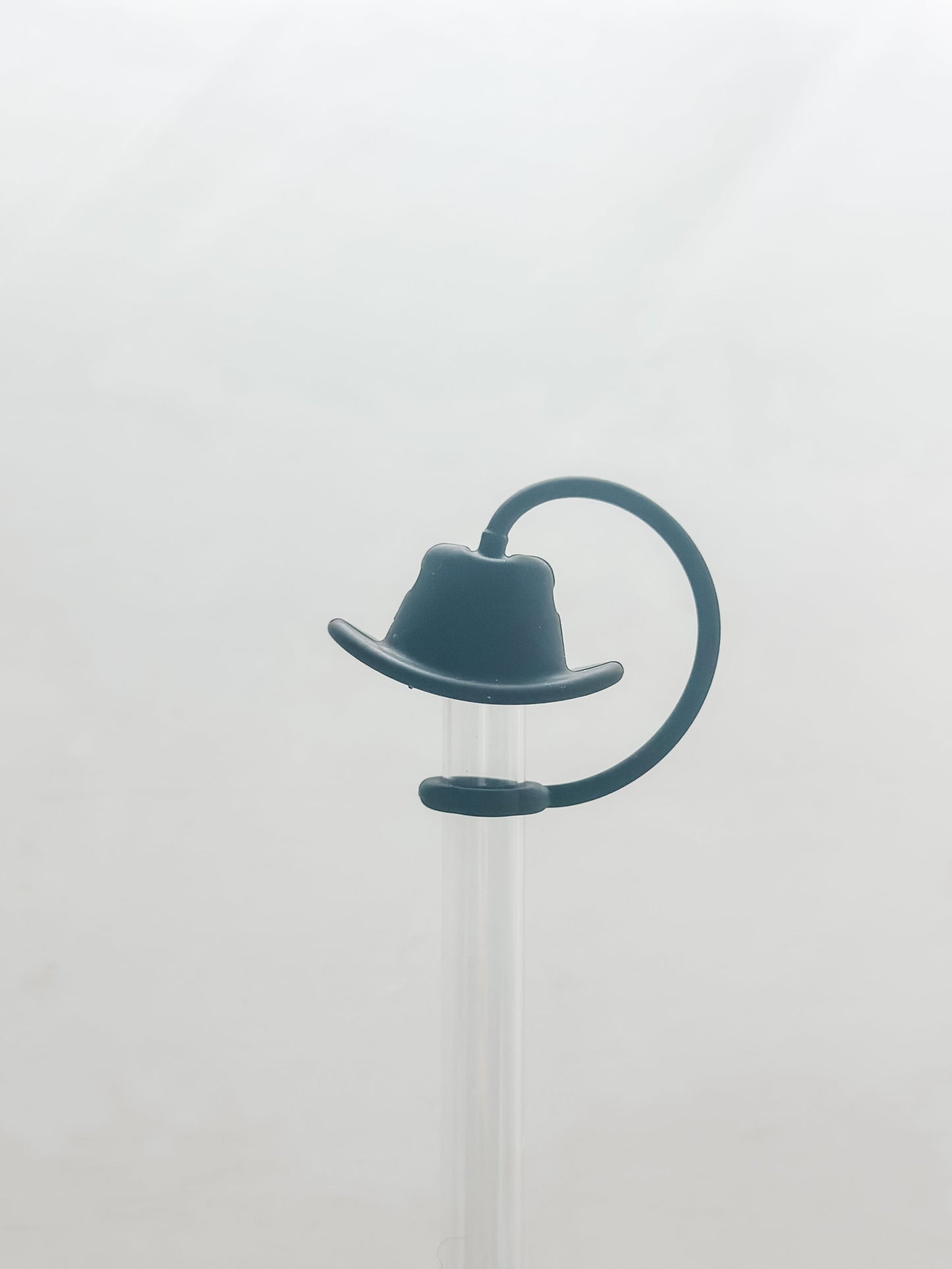 Cowboy Hat Straw Cover