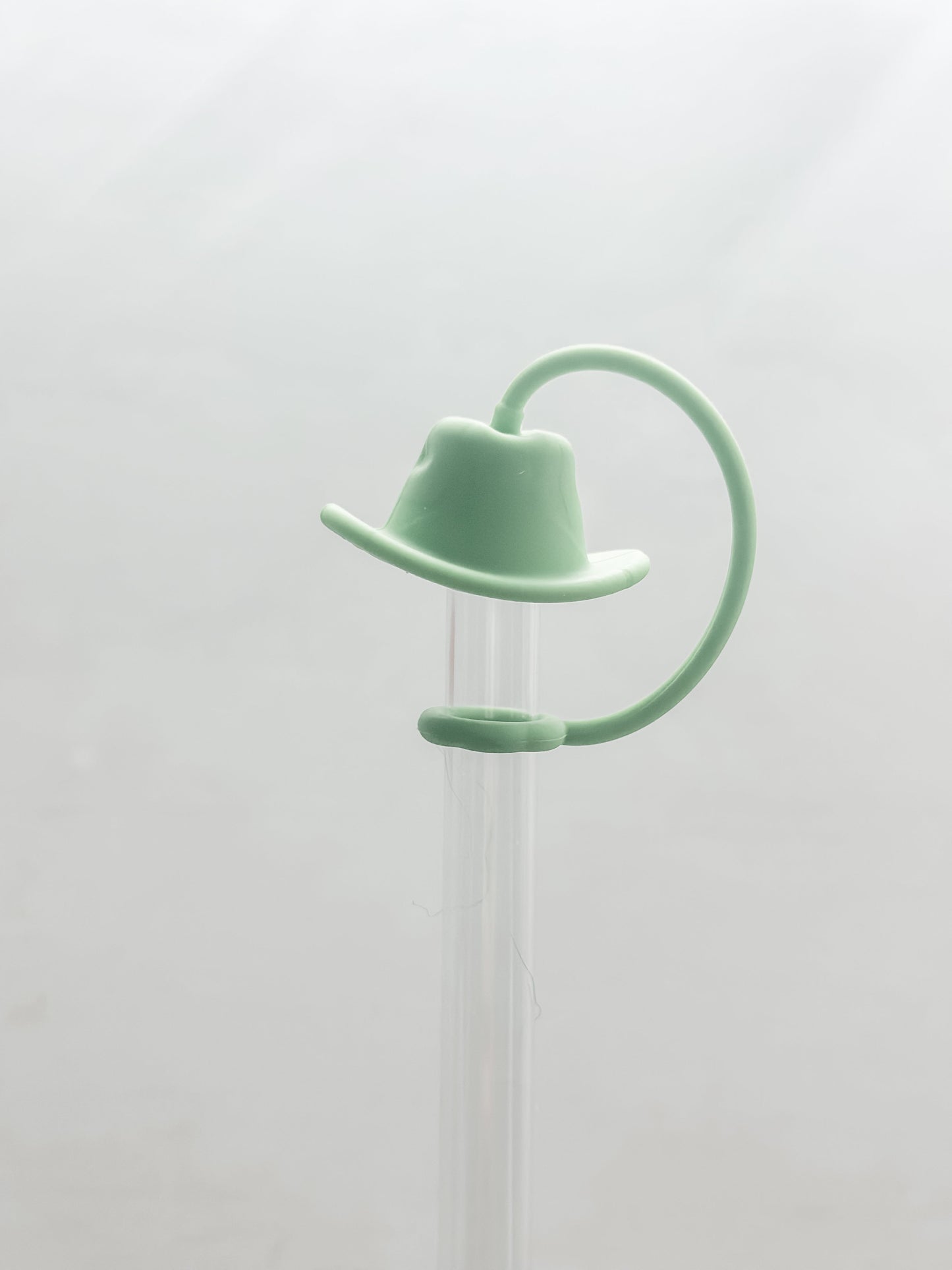 Cowboy Hat Straw Cover