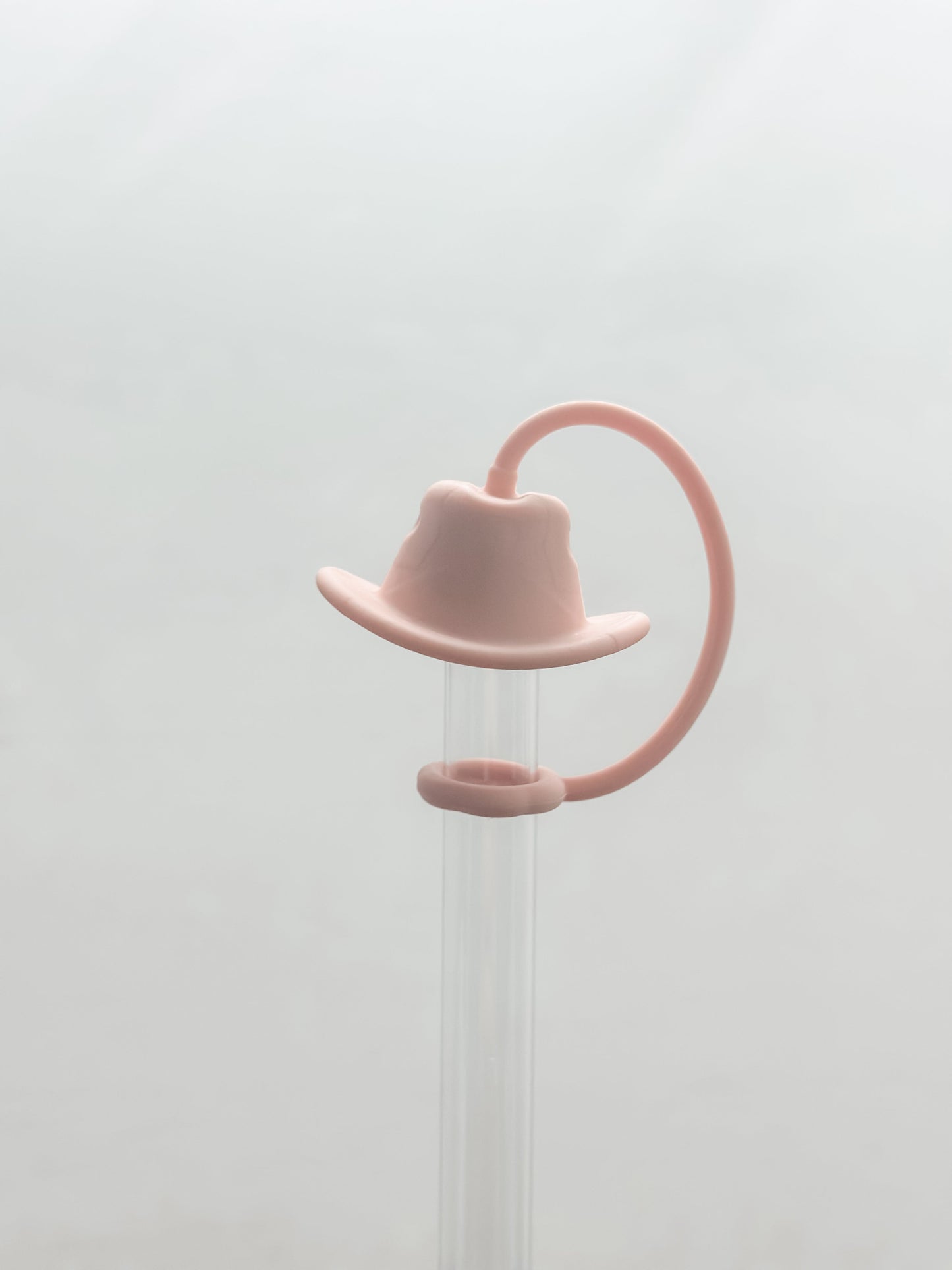 Cowboy Hat Straw Cover